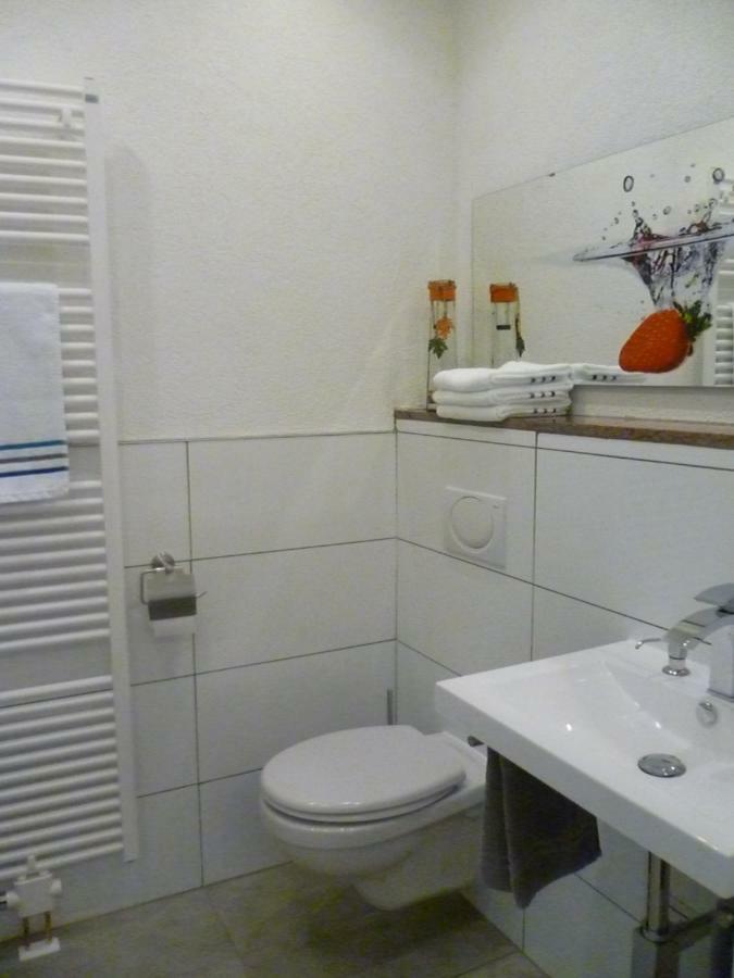 Moderne Wohnung in barockem Altstadthaus nahe Altstadt und Radweg Blieskastel Exterior foto
