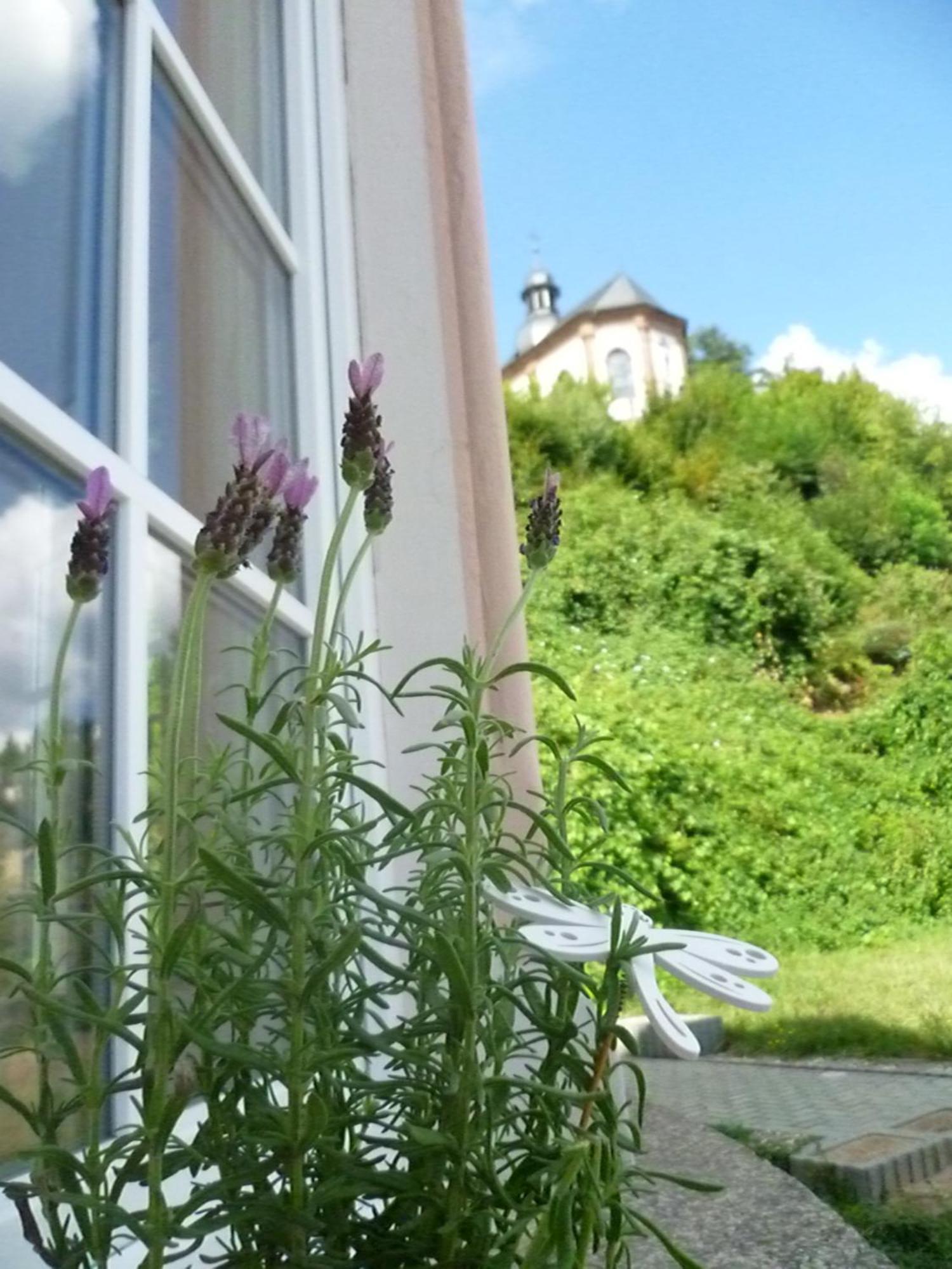 Moderne Wohnung in barockem Altstadthaus nahe Altstadt und Radweg Blieskastel Exterior foto